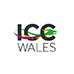 ICC Wales launches recruitment drive for ambassador programme