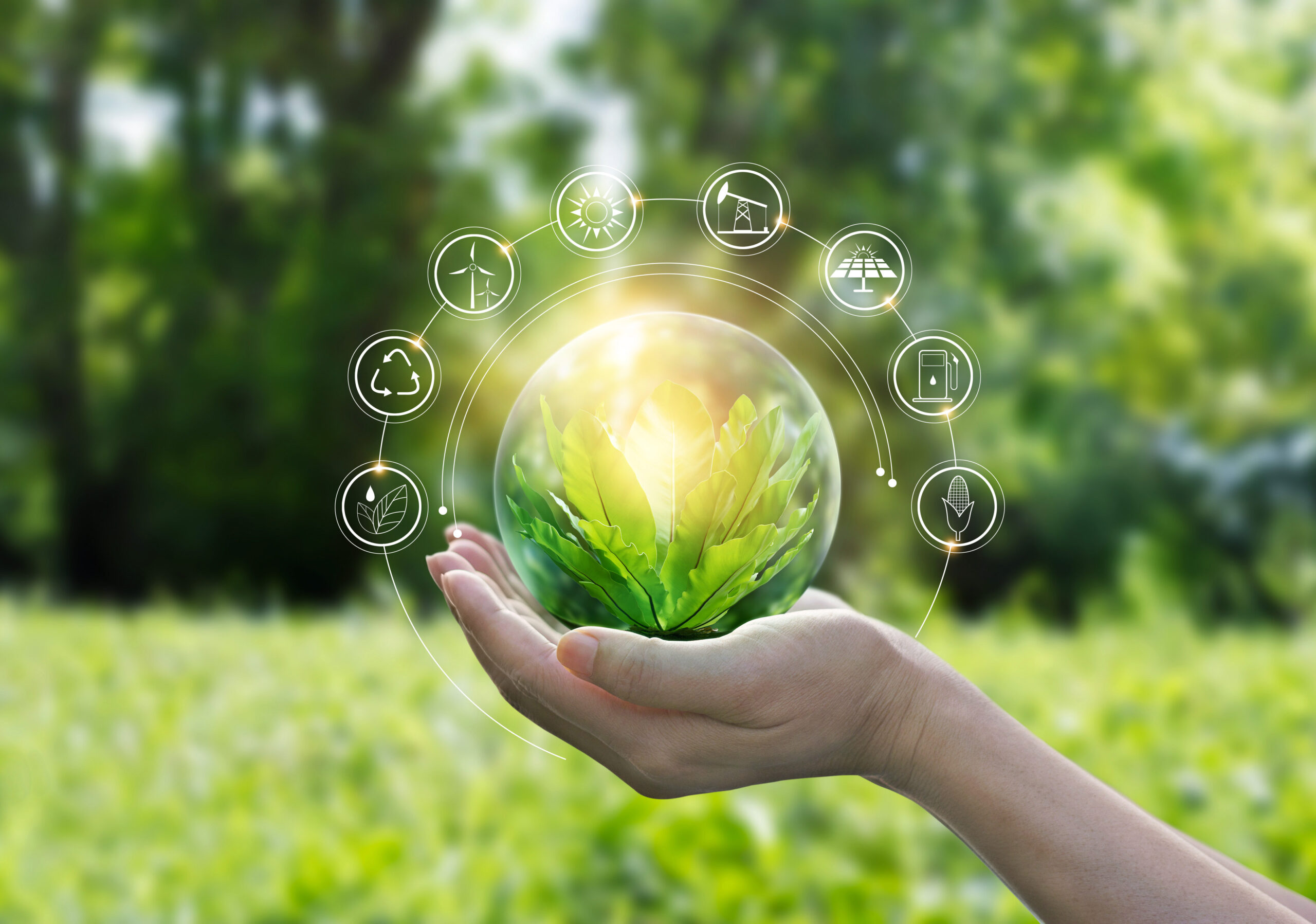 Sustainability: how the industry is playing its part