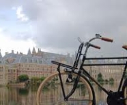 Cycling in The Hague