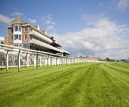 Huntingdon Racecourse has much to offer!