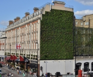 London hotel grows green wall