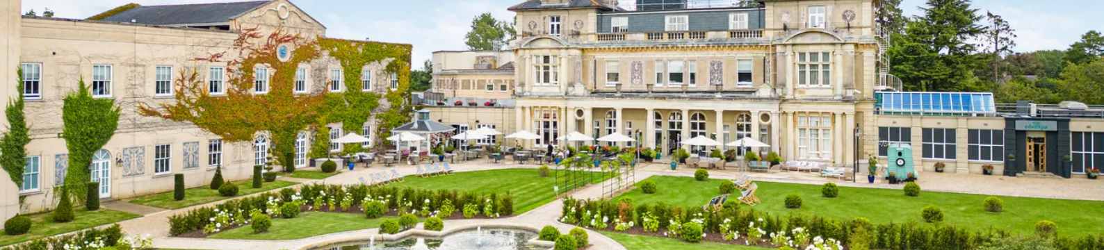 Where Wellness Meets Business in Perfect Balance